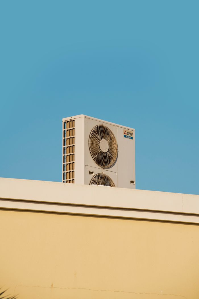 Pexels Photo 16600100