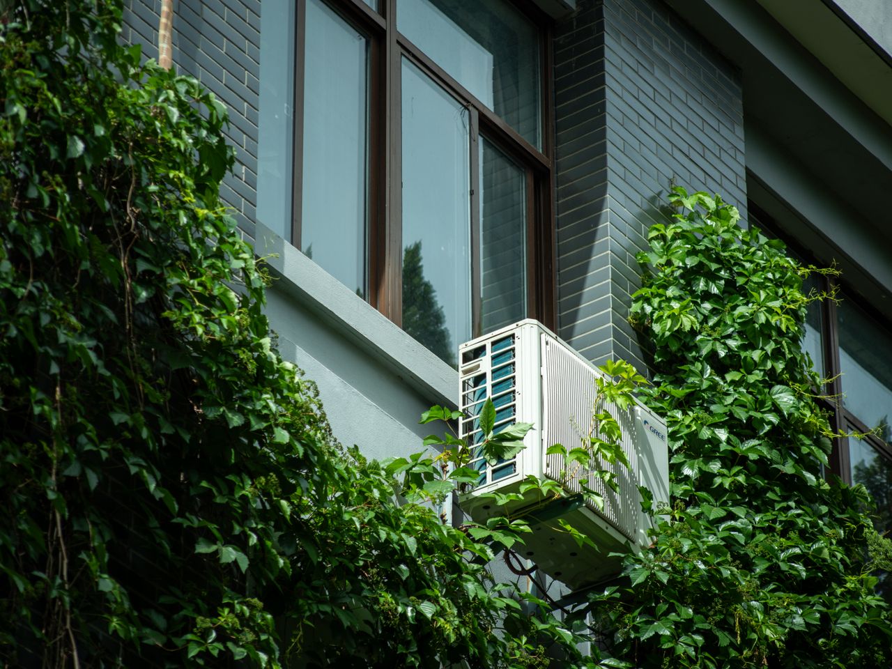 Pexels Photo 34725849